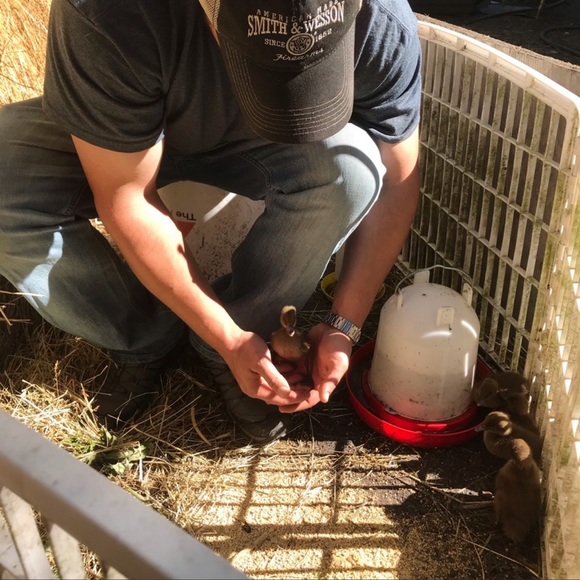 Meet your Posher, Tracy - Picture 9 of 10